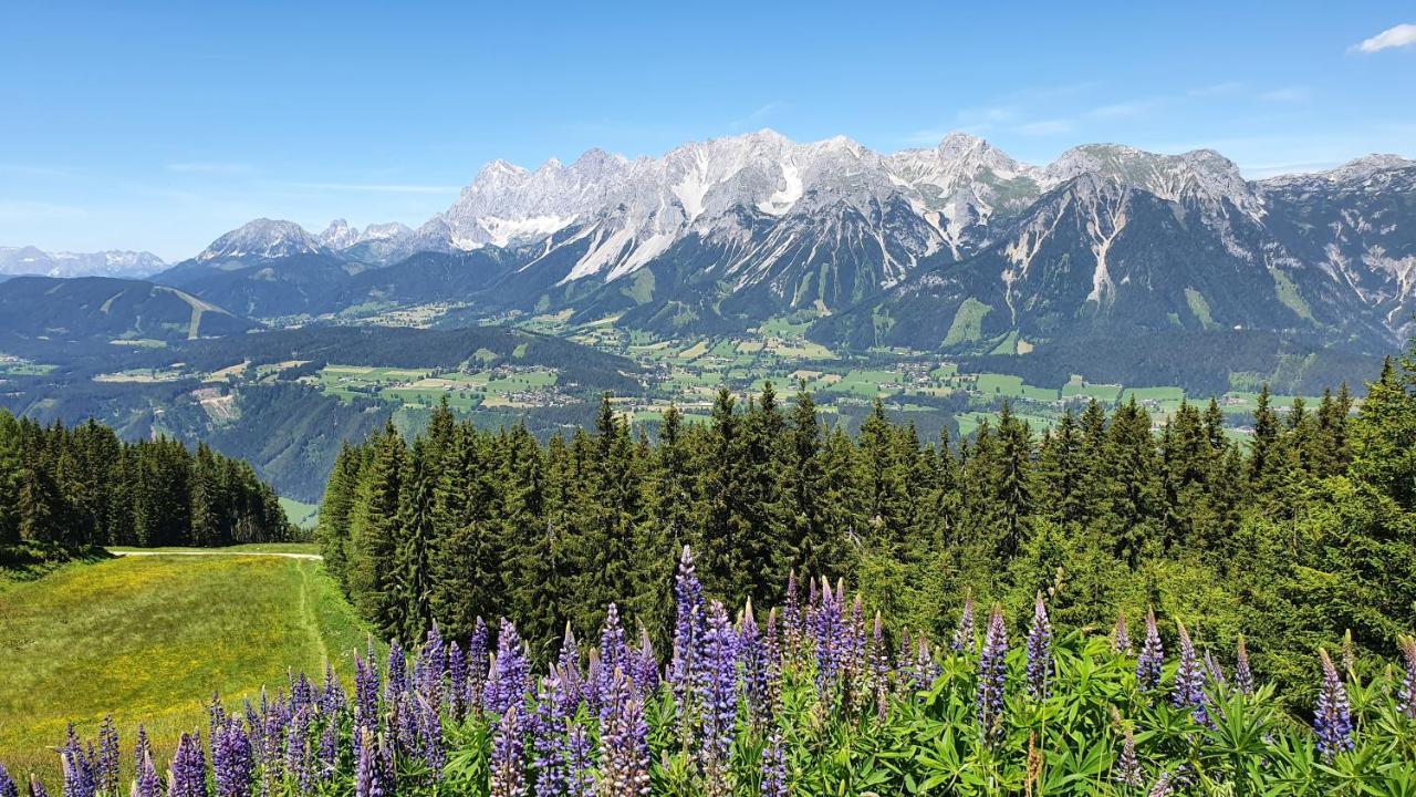 BirnbergSchmiedlehnerhof别墅 外观 照片